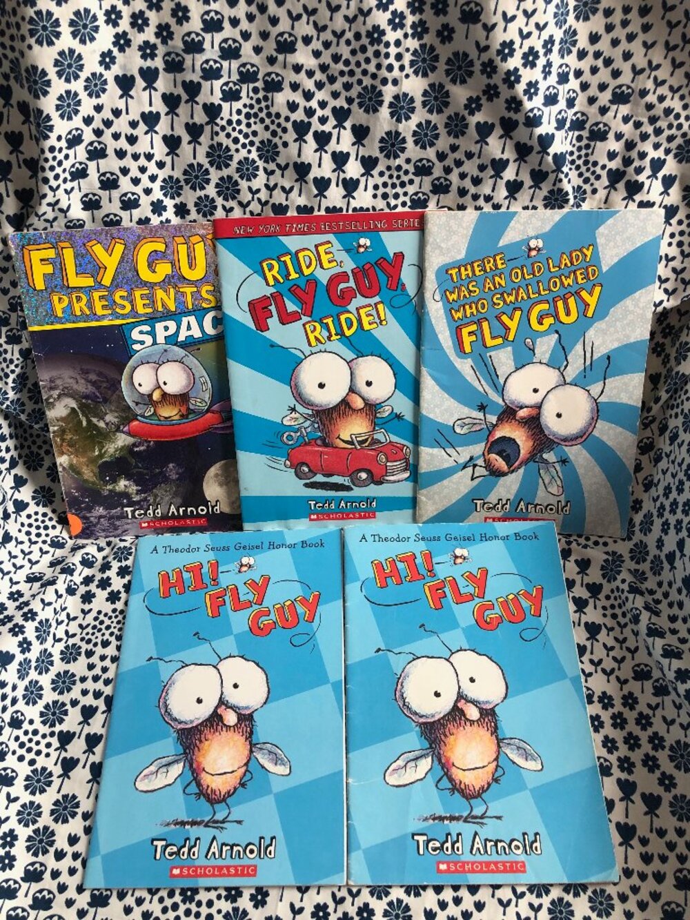 Lot of 5 Scholastic Fly Guy Book Paperback